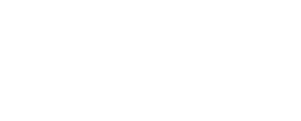 WISELIGHT